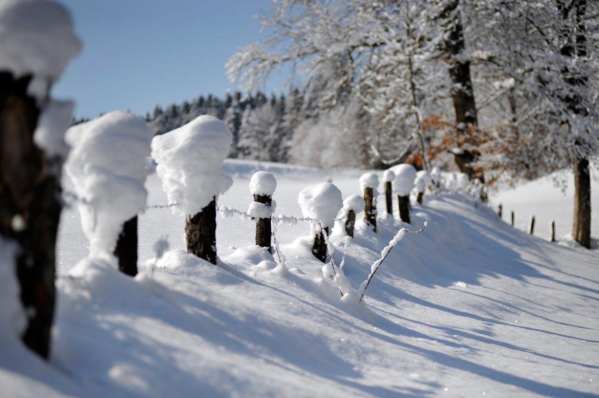Winterwandern im Brixental